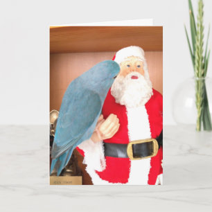 Parrotlet Bird op bezoek bij Kerstman Kaart