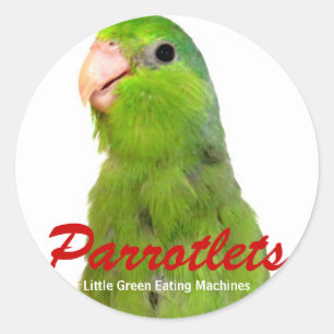 Parrotlet Birds sticker art Parrot Green Parrotlet