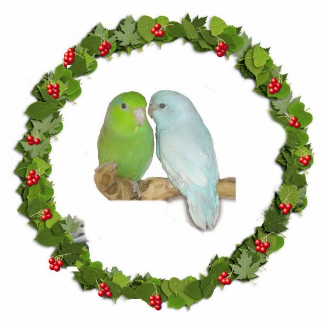 Parrotlet Kerstmis Wreath Fotobeeldje Ornament (Voorkant)