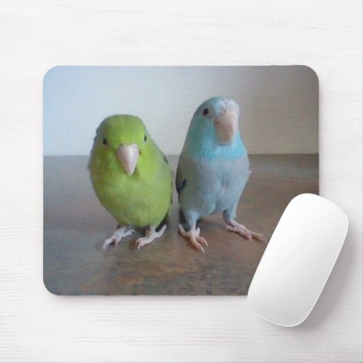 Parrotlet Mousepad Muismat (Met muis)