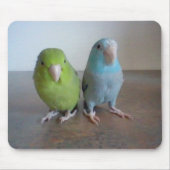 Parrotlet Mousepad Muismat (Voorkant)