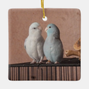 Parrotlet Paar Keramisch Ornament