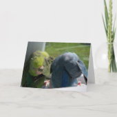 Parrotlet Vogels Humoureus Wenskaart Foto Kaart (Voorkant)