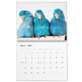 Parrotlets 2023 - 12-jarig jubileumkalender kalender (Mar 2027)