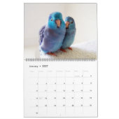 Parrotlets 2023 - 12-jarig jubileumkalender kalender (Jan 2027)