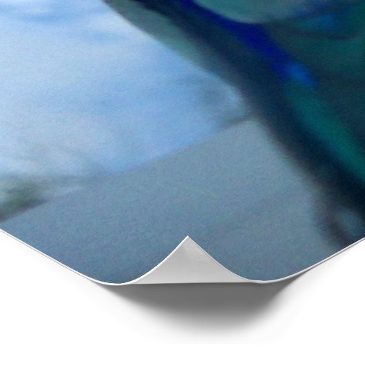 Parrotlets Pacific blue Parrotlet Bird Poster (Hoek)