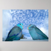 Parrotlets Pacific blue Parrotlet Bird Poster (Voorkant)