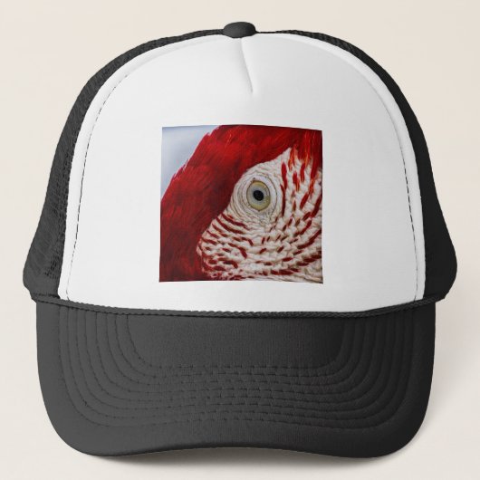 Parrotoog Trucker Pet (Voorkant)