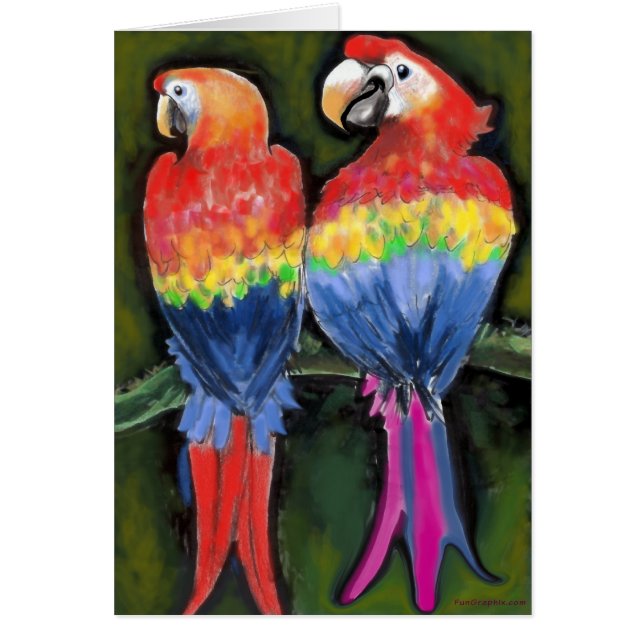 Parrots (Voorkant)