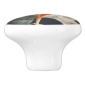 Parrot's Beak Heliconia Perennial Herb Keramische Knop (Zijkant)