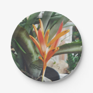 Parrot's Beak Heliconia Perennial Herb Papieren Bordje