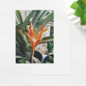 Parrots Beak Heliconia Perennial Herb Profile Card Visitekaartje (Bureau)