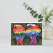 Parrots Briefkaart (Staand voorkant)