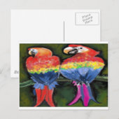 Parrots Briefkaart (Voorkant / Achterkant)
