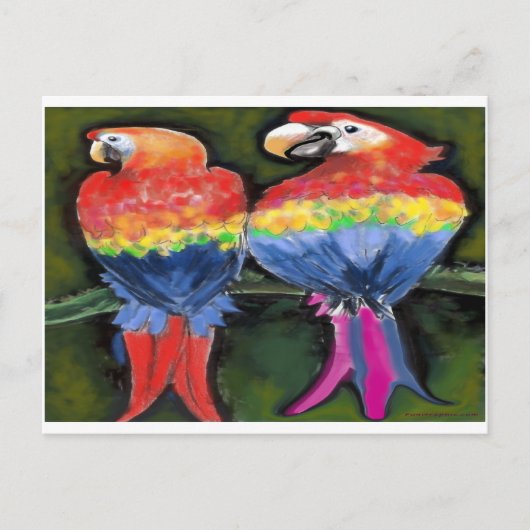 Parrots Briefkaart (Voorkant)