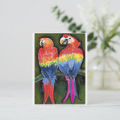 Parrots Briefkaart (Staand voorkant)