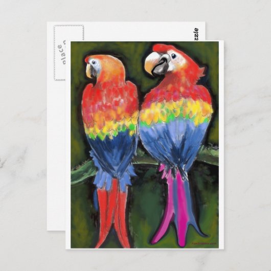 Parrots Briefkaart (Voorkant / Achterkant)