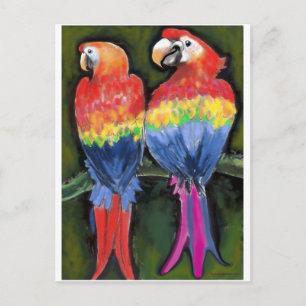 Parrots Briefkaart