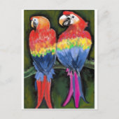 Parrots Briefkaart (Voorkant)