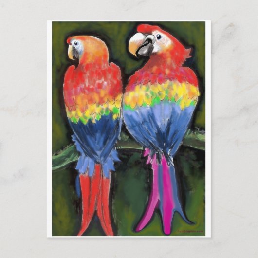 Parrots Briefkaart (Voorkant)