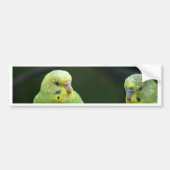 Parrots Bumpersticker (Voorkant)