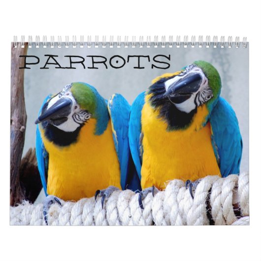 Parrots Calendar Kalender (Hoes)