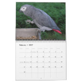 Parrots Calendar Kalender (Feb 2027)