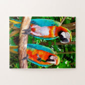 Parrots Florida Jigzaag Puzzle Legpuzzel (Horizontaal)
