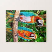 Parrots Florida. Legpuzzel (Horizontaal)