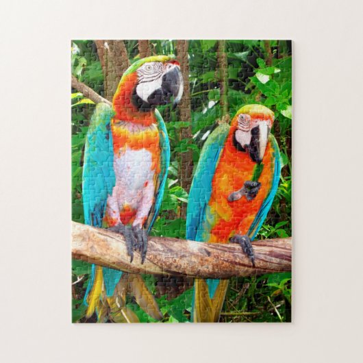 Parrots Florida. Legpuzzel (Verticaal)