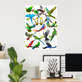 Parrots Galore Poster (Thuiskantoor)