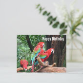 Parrots Happy Birthday-kaart Briefkaart (Staand voorkant)