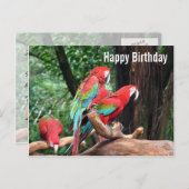 Parrots Happy Birthday-kaart Briefkaart (Voorkant / Achterkant)
