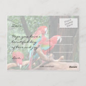 Parrots Happy Birthday-kaart Briefkaart (Achterkant)