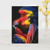 Parrots in Love Kaart (Gele Bloem)