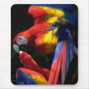 Parrots in Love Mousepad Muismat