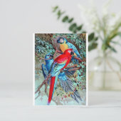 Parrots macaw Wilde vogels kleurig schilderij Briefkaart (Staand voorkant)