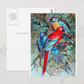 Parrots macaw Wilde vogels kleurig schilderij Briefkaart (Voorkant / Achterkant)