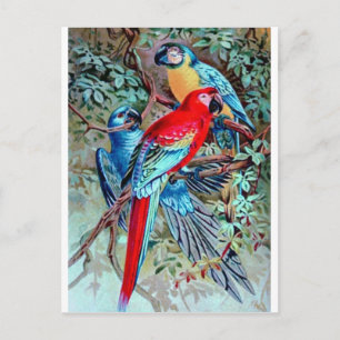 Parrots macaw Wilde vogels kleurig schilderij Briefkaart