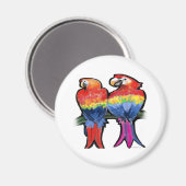 Parrots Magneet (Voorkant / Achterkant)