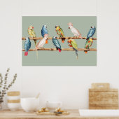 Parrots Poster (Keuken)