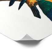 Parrots Poster (Hoek)
