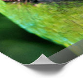 Parrots Poster (Hoek)