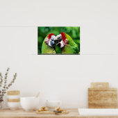 Parrots Poster (Keuken)
