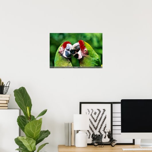 Parrots Poster (Thuiskantoor)