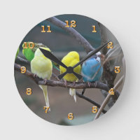Parrots van Parakeets Budgies | Vogelfoto-Natuur