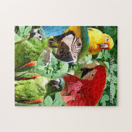 Parrots - Vogels van een doezelaar Legpuzzel (Horizontaal)