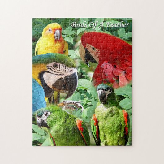 Parrots - Vogels van een doezelaar Legpuzzel (Verticaal)