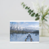 ParrotSleds — Landschap Briefkaart (Staand voorkant)