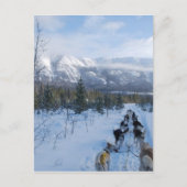 ParrotSleds — Landschap Briefkaart (Voorkant)